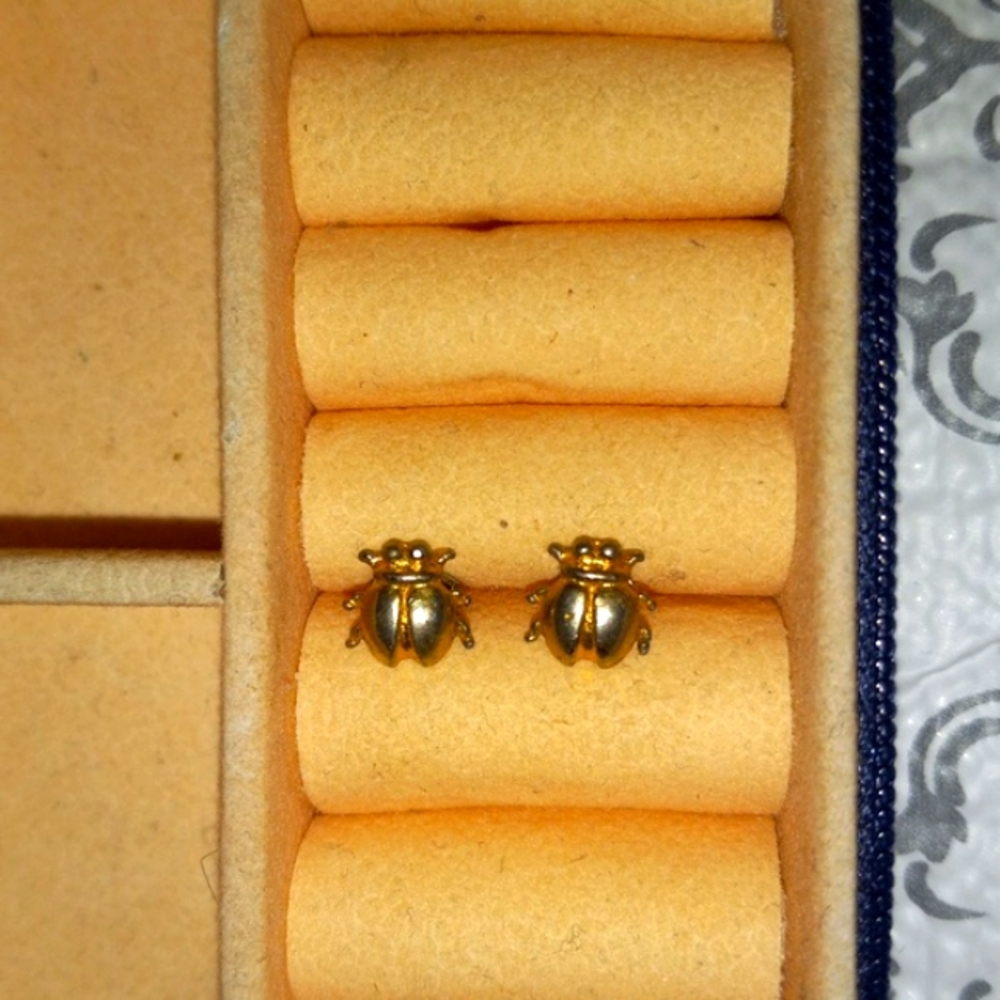 Gold Beetle Earring Studs